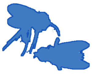 Kaksisiipiset