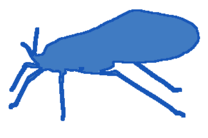 Kirvat