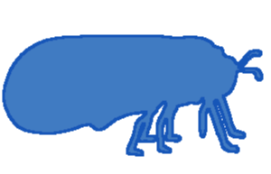 Jauhiaiset